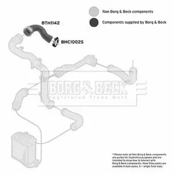 BORG & BECK BTH1142 - Gaine de suralimentation