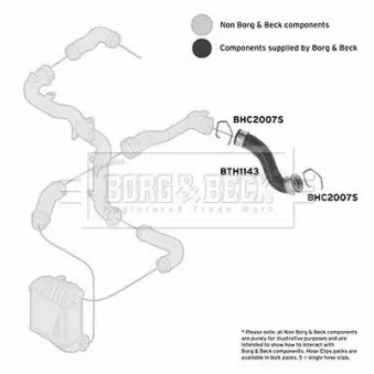Gaine de suralimentation BORG & BECK BTH1143 pour VOLKSWAGEN GOLF 1.9 TDI - 101cv