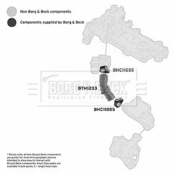 BORG & BECK BTH1233 - Gaine de suralimentation