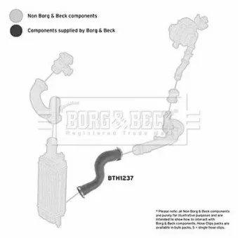 BORG & BECK BTH1237 - Gaine de suralimentation