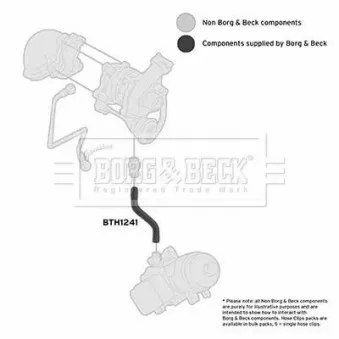 BORG & BECK BTH1241 - Tuyau d'huile
