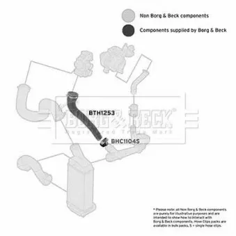 Gaine de suralimentation BORG & BECK BTH1253 pour CITROEN C5 2.0 HDI - 140cv
