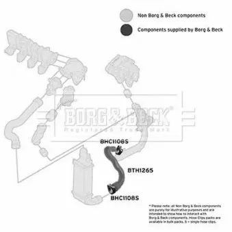 BORG & BECK BTH1265 - Gaine de suralimentation