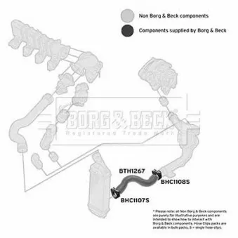 BORG & BECK BTH1267 - Gaine de suralimentation