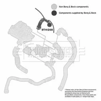 Gaine de suralimentation BORG & BECK BTH1268 pour RENAULT CLIO 1.5 dCi - 64cv