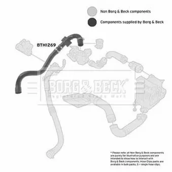 BORG & BECK BTH1269 - Gaine de suralimentation