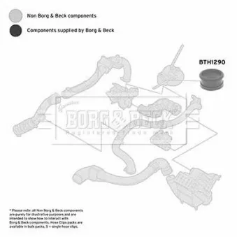 Gaine de suralimentation BORG & BECK BTH1290 pour RENAULT KANGOO 1.5 DCI - 65cv