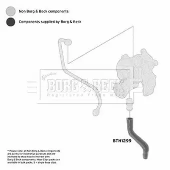 BORG & BECK BTH1299 - Tuyau d'huile