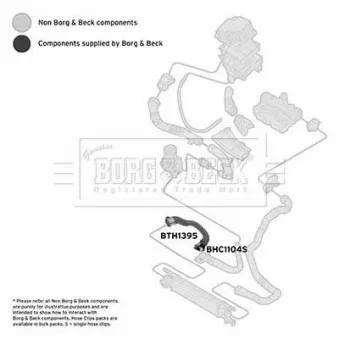 BORG & BECK BTH1395 - Gaine de suralimentation