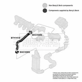 BORG & BECK BTH1408 - Gaine de suralimentation