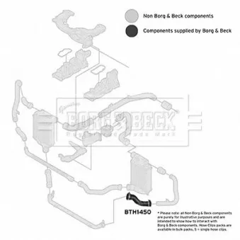 Gaine de suralimentation BORG & BECK BTH1450 pour AUDI A6 3.0 TDI quattro - 240cv