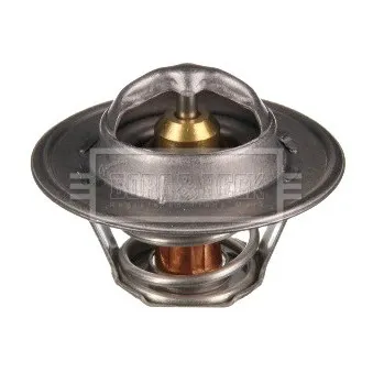 Thermostat d'eau BORG & BECK OEM 1518627