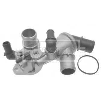 Thermostat d'eau BORG & BECK BTS402.75