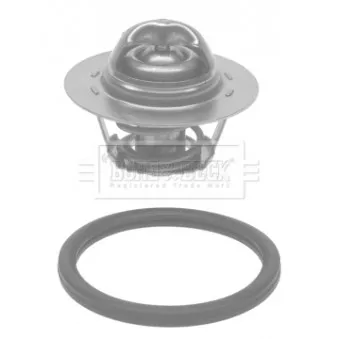 Thermostat d'eau BORG & BECK BTS583.75 pour RENAULT CLIO 2.0 16V Sport - 197cv