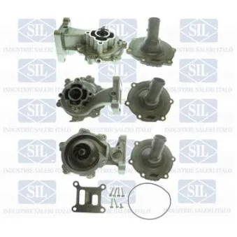 Pompe à eau Saleri SIL OEM C2S40055