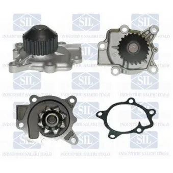 Pompe à eau Saleri SIL PA1311