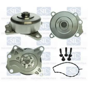 Pompe à eau Saleri SIL OEM 1201L1