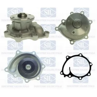 Pompe à eau Saleri SIL OEM 251004X700