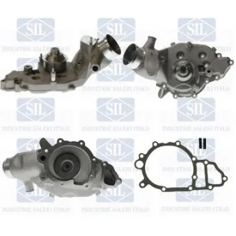 Pompe à eau Saleri SIL PA1603