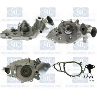 Pompe à eau Saleri SIL PA1604