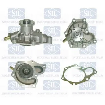 Saleri SIL PA287 - Pompe à eau