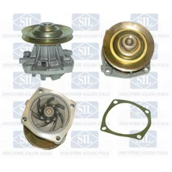 Pompe à eau Saleri SIL OEM 60513608