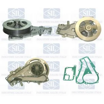 Saleri SIL PA645P - Pompe à eau