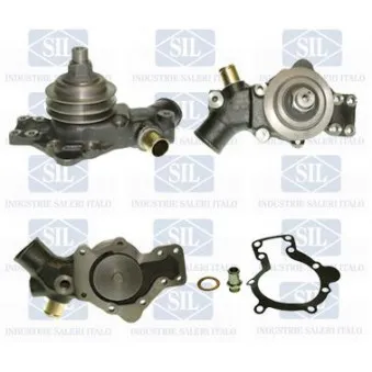 Pompe à eau Saleri SIL PA985