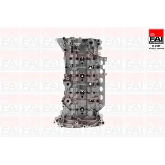 FAI AutoParts BCH093 - Culasse de cylindre