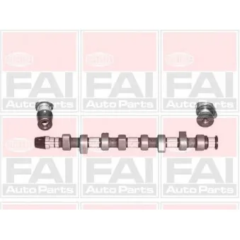 FAI AutoParts C305 - Arbre à came