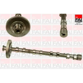 Arbre à came FAI AutoParts C309