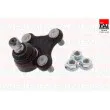 FAI AutoParts SS10004 - Rotule de suspension