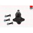FAI AutoParts SS217 - Rotule de suspension