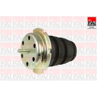 Suspension, jambe d'essieu FAI AutoParts SS4365