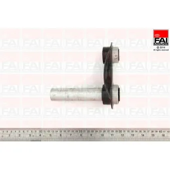 FAI AutoParts SS4619 - Triangle ou bras de suspension (train arrière)