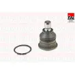 FAI AutoParts SS5821 - Rotule de suspension