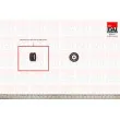 FAI AutoParts T9262 - Poulie renvoi/transmission, courroie de distribution