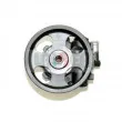 LAUBER 55.0017 - Pompe hydraulique, direction