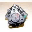 LAUBER 55.0025 - Pompe hydraulique, direction