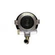 LAUBER 55.0368 - Pompe hydraulique, direction