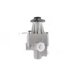 LAUBER 55.4192 - Pompe hydraulique, direction