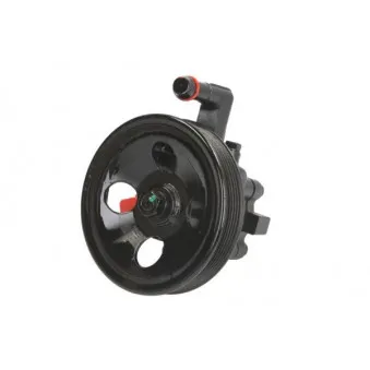 LAUBER 55.6169 - Pompe hydraulique, direction
