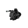 LAUBER 55.9694 - Pompe hydraulique, direction