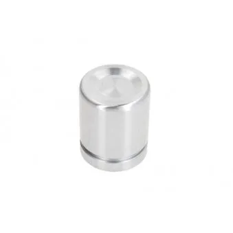 LAUBER CQ71384665 - Piston, étrier de frein