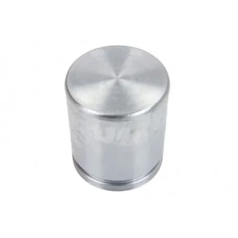 LAUBER CQ71485571 - Piston, étrier de frein