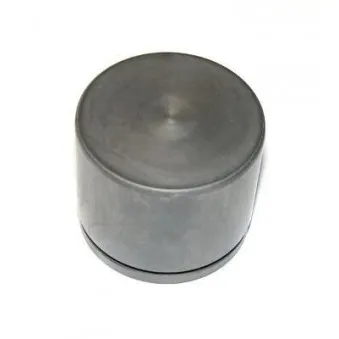 Piston, étrier de frein LAUBER [CQ71574619]