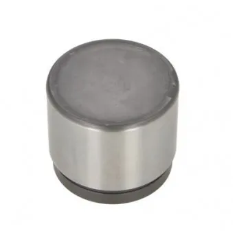 LAUBER CQ71605230 - Piston, étrier de frein