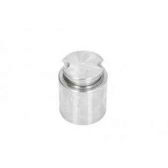 LAUBER D025222 - Piston, étrier de frein