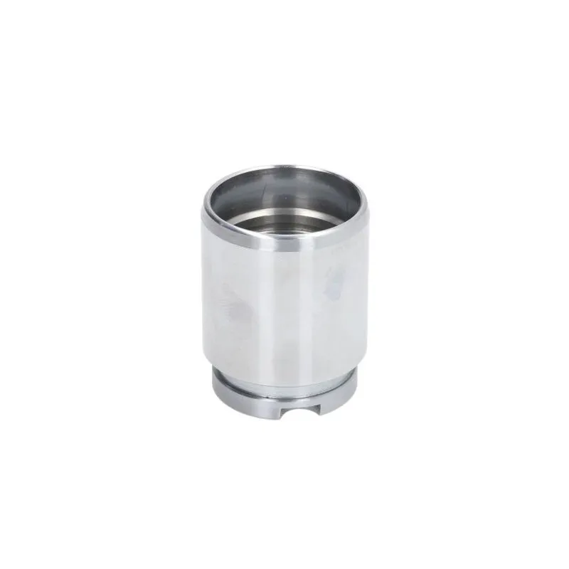 Piston, étrier de frein LAUBER D025545 - Visuel 1