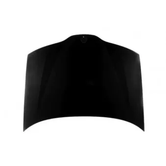 ABAKUS 042-21-100 - Capot-moteur